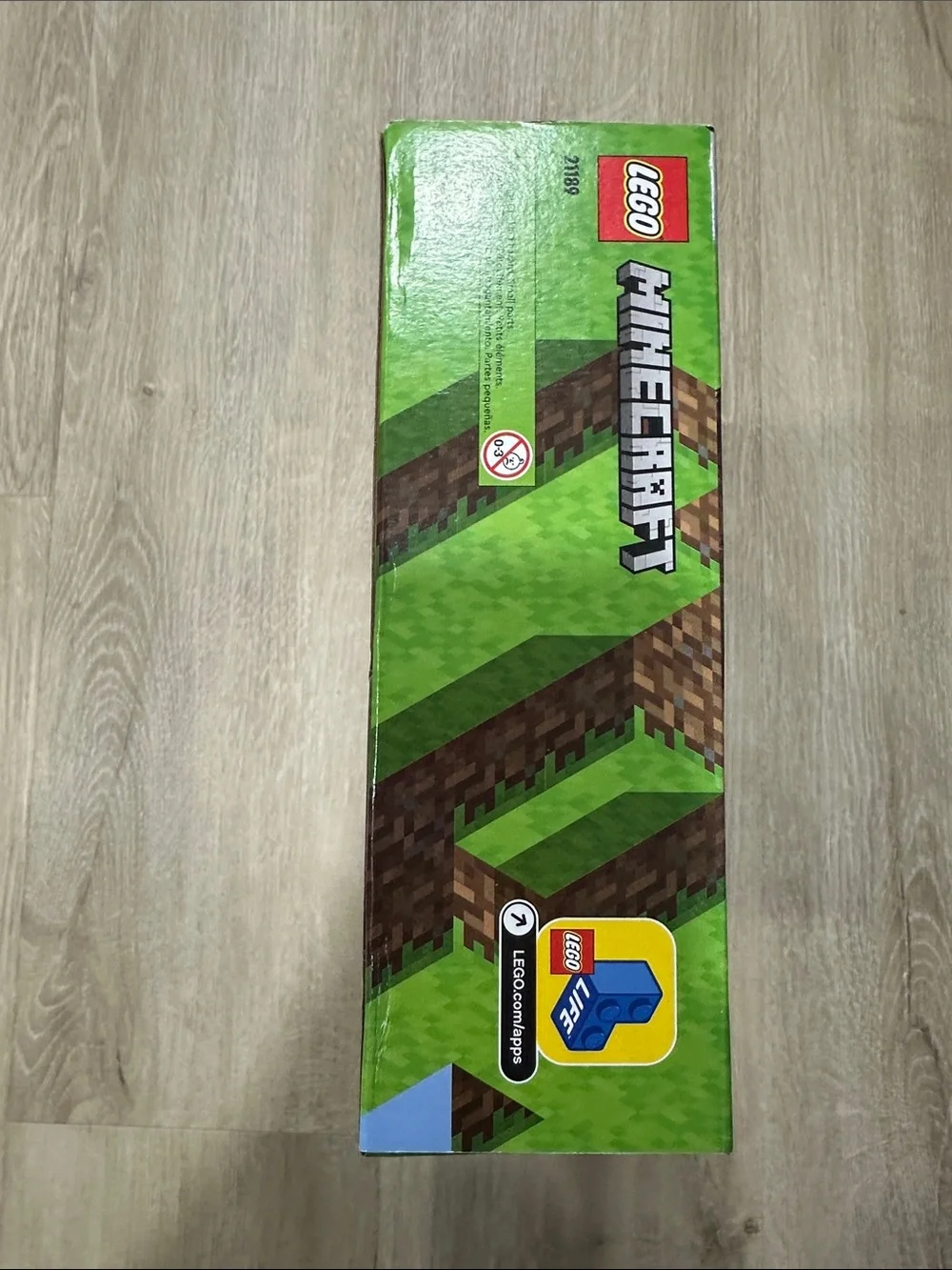 LEGO Minecraft Skeleton Dungeon Set - Green, Gray, Brown
